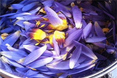 進(jìn)口藍(lán)蓮花純露的作用